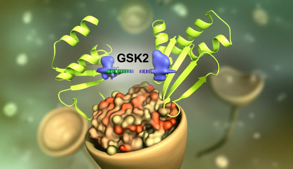 Immagine concettuale astratta che rappresenta l'interazione molecolare tra la proteina OsTGS1 (stilizzata) e la proteina GSK2 (stilizzata) all'interno del nucleo di una cellula vegetale. Sfondo sfocato che suggerisce un ambiente cellulare. Illuminazione drammatica per evidenziare l'interazione. Potrebbe usare elementi grafici per simboleggiare la repressione trascrizionale.