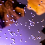Immagine fotorealistica che mostra nanoparticelle sferiche di ZnO sospese in acqua limpida sotto una luce UV stilizzata, con frammenti di corteccia di Cuachalalate visibili sullo sfondo sfocato. Obiettivo macro 80mm, alta definizione, illuminazione drammatica che evidenzia le particelle e l'effetto fotocatalitico, profondità di campo ridotta.