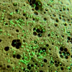 Immagine fotorealistica, obiettivo macro 80mm, che mostra particelle di nanocomposito verde sospese in una soluzione acquosa a bassa salinità mentre interagiscono con la superficie porosa di un campione di roccia carbonatica, evidenziando i concetti di recupero avanzato del petrolio, messa a fuoco precisa, illuminazione controllata.