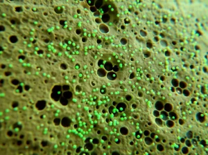 Immagine fotorealistica, obiettivo macro 80mm, che mostra particelle di nanocomposito verde sospese in una soluzione acquosa a bassa salinità mentre interagiscono con la superficie porosa di un campione di roccia carbonatica, evidenziando i concetti di recupero avanzato del petrolio, messa a fuoco precisa, illuminazione controllata.