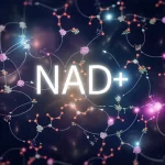 Immagine concettuale astratta del metabolismo del NAD+ all'interno di una cellula, con molecole stilizzate e percorsi biochimici luminosi interconnessi, macro lens 60mm, high detail, illuminazione drammatica e vibrante.