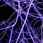 Fotografia macro di neuroni interconnessi che emettono sottili impulsi elettrici, rappresentando l'attività cerebrale durante un EEG, alto dettaglio, messa a fuoco precisa, illuminazione controllata, obiettivo macro 100mm.