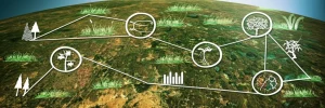 Immagine concettuale che fonde una mappa satellitare dettagliata di un paesaggio ecologicamente vario con grafici bibliometrici sovrapposti (linee di tendenza, reti di citazione) e illustrazioni stilizzate di diversi tipi funzionali di piante (erbe, arbusti, alberi con diverse forme fogliari), obiettivo grandangolare 20mm, focus nitido, illuminazione drammatica che evidenzia la connessione tra dati spaziali, analisi della ricerca e diversità vegetale.