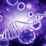 Immagine concettuale che rappresenta la ricerca sul cancro al seno triplo negativo: una doppia elica di DNA stilizzata si intreccia con una rappresentazione astratta di cellule tumorali sotto un microscopio, illuminazione drammatica, colori blu e viola duotone, obiettivo 50mm, alta definizione.