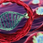Immagine concettuale, obiettivo macro 60mm, che mostra una rappresentazione stilizzata della proteina TRIM56 interagente con il DNA all'interno di un nucleo cellulare, con cellule immunitarie visibili sullo sfondo sfocato. Illuminazione controllata per evidenziare l'interazione proteina-DNA, alta definizione.