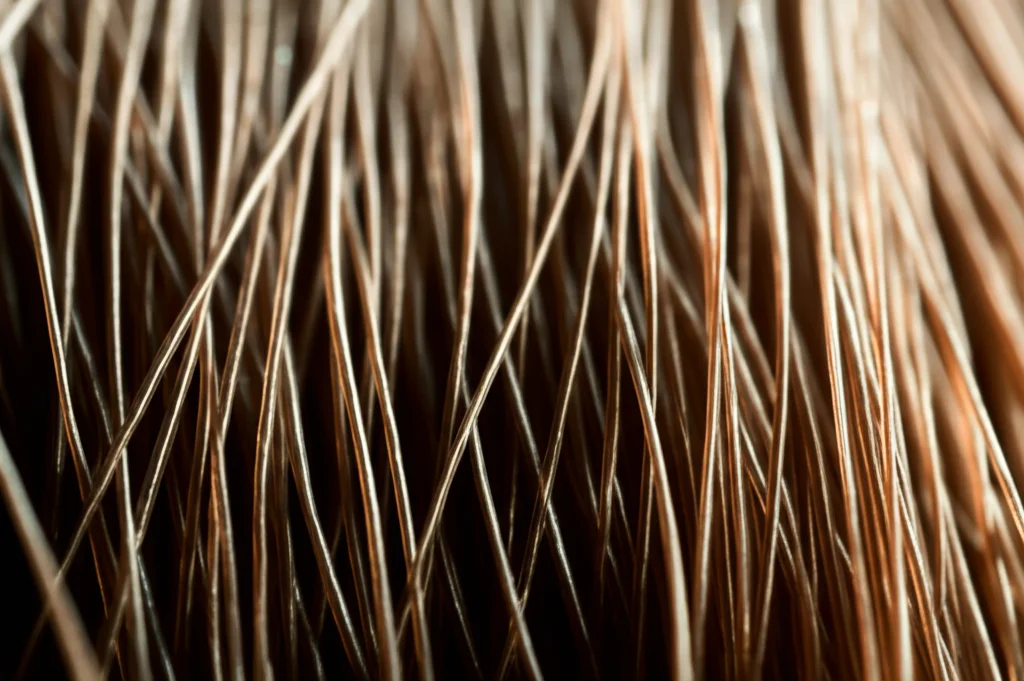 Macro fotografia, lente da 100 mm, di un singolo filo di capelli scuri sani e luccicanti che brillano sotto illuminazione da studio controllata, alti dettagli, messa a fuoco precisa, suggerendo morbidezza e resistenza dopo il trattamento cosmetico.