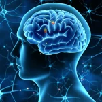 Visualizzazione scientifica astratta del cervello umano con neuroni dopaminergici evidenziati e interazioni con cellule immunitarie (microglia, cellule T) e molecole MHCII, rappresentazione del locus genico HLA, stile fotorealistico con dettagli scientifici accurati, obiettivo 50mm, profondità di campo.