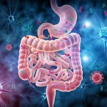 Immagine concettuale ad alta risoluzione dell'asse intestino-cervello, mostrando neuroni stilizzati collegati a un ambiente intestinale vibrante popolato da batteri, fagi (virus batterici) e plasmidi (DNA circolare). Prime lens, 35mm, depth of field per sfocare leggermente lo sfondo cerebrale e mettere a fuoco l'intestino, illuminazione suggestiva che collega i due ambienti con fasci di luce.