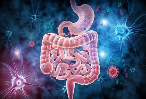 Immagine concettuale ad alta risoluzione dell'asse intestino-cervello, mostrando neuroni stilizzati collegati a un ambiente intestinale vibrante popolato da batteri, fagi (virus batterici) e plasmidi (DNA circolare). Prime lens, 35mm, depth of field per sfocare leggermente lo sfondo cerebrale e mettere a fuoco l'intestino, illuminazione suggestiva che collega i due ambienti con fasci di luce.