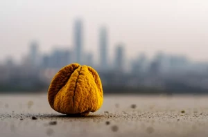 Immagine fotorealistica, obiettivo macro, 100mm: Un singolo granulo di polline di Cupressaceae ingrandito, posato su una superficie sottilmente ricoperta di sporco urbano (particelle di PM2.5), sfondo leggermente sfocato che mostra uno skyline nebbioso di Pechino, messa a fuoco precisa, illuminazione controllata.