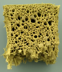Macro fotografia, 100mm lens, sezione trasversale di un composito di poliuretano termoplastico rinforzato con fibre di palma da zucchero trattate alcalinamente, mostrando le fibre ben integrate nella matrice polimerica, alta definizione, illuminazione controllata da studio.