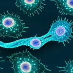 Vista macro con obiettivo da 85mm di un segmento di filamento di DNA luminoso etichettato 'ADCYAP1', intrecciato con rappresentazioni astratte di cellule tumorali e linfociti T all'interno di una piastra di Petri. Alto dettaglio, illuminazione controllata da laboratorio, concetto di biomarker.