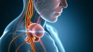 Immagine astratta e high-tech di una visualizzazione 3D del plesso nervoso pelvico maschile sovrapposta a un ritratto sfocato di un uomo pensieroso. Evoca la complessità chirurgica dell'eTME e l'impatto sulla vita del paziente oncologico. Illuminazione controllata, dettagli elevati.