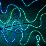 Visualizzazione astratta di curve biologiche digitali luminose (blu e verdi) sovrapposte a un'immagine macro ad alta definizione di una foglia di pianta con venature dettagliate. Concetto di bioinformatica e analisi dati in biologia vegetale, obiettivo macro 90mm, sfondo scuro per far risaltare le curve e la foglia.