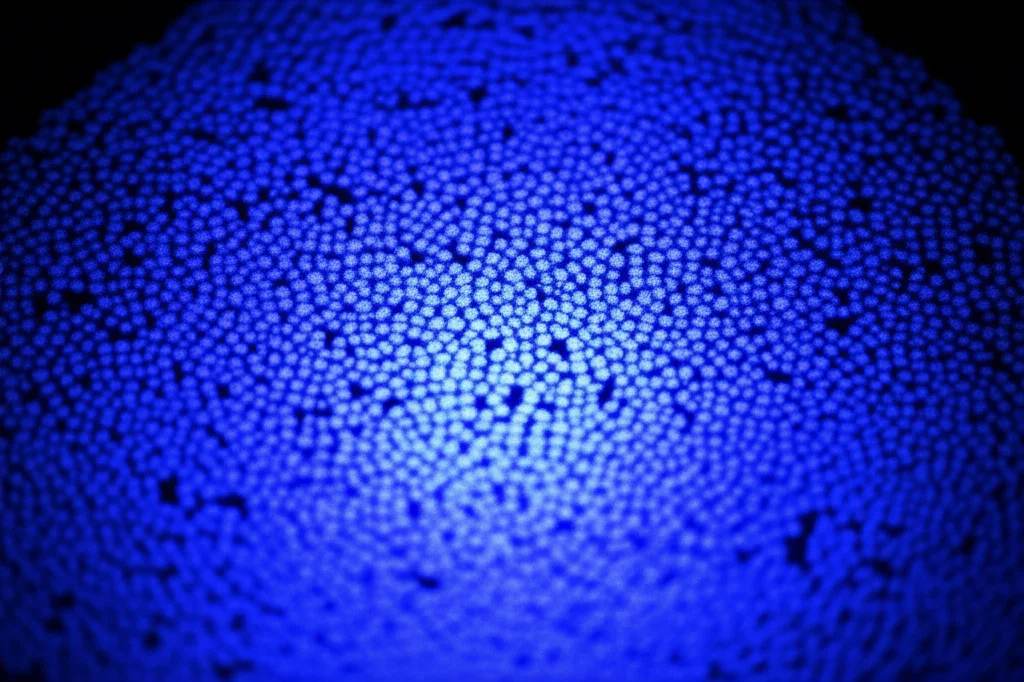 Primo piano di un materiale ceramico avanzato, H-ACO (ceria drogata con alluminio protonata), illuminato da una luce UV bluastra che simboleggia l'attivazione foto-assistita, obiettivo macro 90mm, alta definizione, illuminazione controllata per evidenziare la struttura densa ma efficiente per la conduzione protonica.