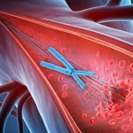 Visualizzazione medica astratta dell'aorta umana con una rottura stilizzata che rappresenta la dissezione, con evidenziazione grafica di biomarcatori come HIF-1α (blu, ipossia) e IL-6 (rosso, infiammazione) che interagiscono, prime lens 35mm, profondità di campo, colori duotone blu e rosso.