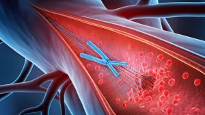 Visualizzazione medica astratta dell'aorta umana con una rottura stilizzata che rappresenta la dissezione, con evidenziazione grafica di biomarcatori come HIF-1α (blu, ipossia) e IL-6 (rosso, infiammazione) che interagiscono, prime lens 35mm, profondità di campo, colori duotone blu e rosso.