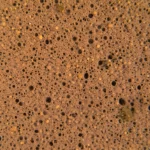 Primo piano di un campione di fango attivato prelevato da un impianto di trattamento acque, lente macro 90mm, alta definizione, illuminazione laterale controllata per evidenziare la texture flocculante e la complessità biologica del campione.