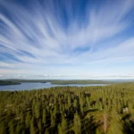 Fotografia paesaggistica con obiettivo grandangolare 20mm, messa a fuoco nitida, che mostra un panorama della Fennoscandia settentrionale (foreste di pini e un lago o fiordo) sotto un cielo estivo intenso e luminoso, forse con qualche nuvola leggermente mossa da una lunga esposizione. La luce deve trasmettere una sensazione di calore insolito e persistente per la regione, quasi opprimente.