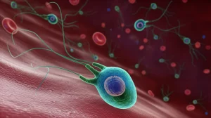Primo piano di cellule immunitarie stilizzate (neutrofili, monociti, linfociti) su sfondo astratto che rappresenta il flusso sanguigno, colori vivaci, alto dettaglio, illuminazione drammatica, obiettivo macro 100mm.