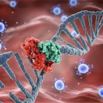 Visualizzazione 3D fotorealistica di una doppia elica di DNA danneggiata all'interno di una cellula epatica (HCC), con la proteina P53 mutata (struttura molecolare dettagliata) che tenta inefficacemente di legarsi. Sullo sfondo, cellule immunitarie (linfociti T CD8+) stilizzate che non riescono a infiltrarsi efficacemente. Illuminazione drammatica controllata, lente macro 90mm, alta risoluzione, profondità di campo ridotta per focalizzare sull'interazione P53-DNA e sul contesto cellulare circostante.