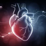 Immagine concettuale astratta che fonde un cuore umano stilizzato con molecole fluttuanti (sfingomieline), colori blu e rosso duotone, profondità di campo, obiettivo prime 35mm, evocativo della connessione tra metabolomica e salute cardiaca.