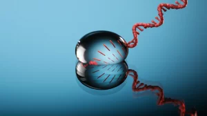 Immagine macro ad alta definizione di una goccia di sangue su una superficie di laboratorio, che riflette una struttura a doppia elica del DNA stilizzata, illuminazione controllata e drammatica, obiettivo macro 90mm, focus preciso, high detail.