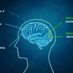 Immagine concettuale fotorealistica che mostra tre distinti percorsi molecolari (uno blu scuro, uno blu chiaro, uno verde) che convergono verso la silhouette stilizzata di un cervello umano. Rappresenta i diversi meccanismi d'azione di valbenazina, deutetrabenazina e Vitamina E sulla discinesia tardiva. Obiettivo prime 35mm, profondità di campo, duotone blu e grigio per un'atmosfera scientifica ed elegante.
