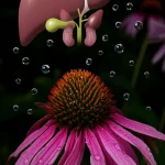 Immagine fotorealistica concettuale: una pianta di Echinacea purpurea luminosa che protegge simbolicamente un fegato e dei testicoli stilizzati da gocce scure rappresentanti il pesticida clorpirifos, lente 35mm, profondità di campo, illuminazione drammatica che evidenzia il contrasto tra protezione naturale e minaccia chimica.