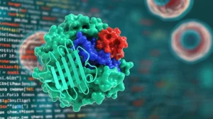 Immagine concettuale fotorealistica che illustra la scoperta di RC3H1 come fattore antivirale. In primo piano, una rappresentazione 3D dettagliata della proteina RC3H1 (struttura complessa blu/verde) che interagisce con la proteina NS1 del virus dell'influenza (struttura rossa più piccola). Sullo sfondo, un mix sfocato di codice computazionale e cellule umane stilizzate. Prime lens, 35mm, depth of field, illuminazione drammatica.