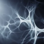 Immagine concettuale astratta che rappresenta la scoperta scientifica. Un fascio di luce illumina delle forme nebulose e interconnesse che ricordano reti neurali o strutture molecolari, suggerendo l'idea di confini sfumati e processi complessi. Stile fotorealistico con profondità di campo ridotta, obiettivo prime 35mm, toni blu e grigi duotone per un'atmosfera riflessiva e intellettuale.