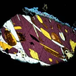 Fotografia macro fotorealistica di una sezione sottile petrografica illuminata al microscopio a luce polarizzata piana (PPL), obiettivo macro 100mm, alto dettaglio di minerali colorati come biotite e andalusite con forme cristalline distinte e contrasti evidenti, illuminazione controllata e precisa.