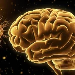 Immagine fotorealistica concettuale: nanoparticelle d'oro multifunzionali che attraversano la barriera emato-encefalica per raggiungere e attaccare selettivamente le cellule di glioblastoma nel cervello. Prime lens, 35mm, profondità di campo, illuminazione drammatica controllata.