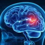 Illustrazione fotorealistica di un cervello umano digitale trasparente che mostra reti neurali illuminate, con particolare enfasi sulle aree colpite dal Parkinson come i gangli della base e la substantia nigra, sfondo high-tech blu scuro, illuminazione drammatica che evidenzia i percorsi dopaminergici, dettagli precisi, obiettivo macro 60mm.