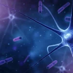 Immagine medica astratta che mostra neuroni stilizzati e batteri fluttuanti nel liquido cerebrospinale, colori blu e viola duotone, profondità di campo per creare un senso di spazio microscopico, obiettivo 35mm.