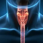 Visualizzazione 3D medica di una trachea umana con un corpo estraneo (perlina) vicino alla biforcazione bronchiale, evidenziando la sfida chirurgica. Illuminazione drammatica, alta definizione, stile fotorealistico medico.