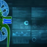 Immagine concettuale che mostra un rene umano stilizzato composto da circuiti digitali luminosi blu e verdi, sovrapposto a un grafico di dati medici astratto su sfondo scuro. Macro lens, 100mm, high detail, precise focusing, controlled lighting.