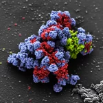 Visualizzazione al microscopio a super-risoluzione del virus dell'influenza dei pipistrelli H18N11 (particelle virali sferiche o pleomorfe, magari colorate in blu o verde) che si lega e induce il clustering di molecole MHCII (punti luminosi rossi o gialli) sulla membrana di una cellula ospite. L'immagine dovrebbe trasmettere l'idea di aggregazione locale delle molecole MHCII sotto il virus. Macro lens, 100mm, high detail, precise focusing, controlled lighting, profondità di campo ridotta per isolare l'interazione.