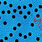 Visualizzazione astratta dell'interfaccia acqua-elettrodo con molecole d'acqua ordinate (SOW) vicino a una superficie idrofila e bolle di idrogeno che si formano su un elettrodo PEO-Pt/Ti poroso, illuminato da luce infrarossa. Macro lens, 100mm, high detail, precise focusing, controlled lighting, effetto leggermente bluastro.