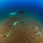 Ampia veduta sottomarina del Polaris Mud Volcano Complex nel Mare di Barents, wide-angle 10mm, long exposure per acqua liscia. Mostra diversi cumuli piatti di vulcani di fango sul fondale marino artico, con deboli emissioni visibili e piccole aree di vita chemosintetica. Luce ambientale fioca tipica delle profondità marine.