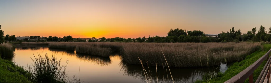Suggestiva immagine del Parc del Falgar al tramonto, con le zone umide restaurate che riflettono il cielo. Obiettivo grandangolare 15mm, lunga esposizione per acqua liscia e colori caldi, catturando la bellezza e la funzione ecologica dello spazio peri-urbano.