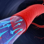 Illustrazione fotorealistica del sistema glinfatico nel cervello umano, evidenziando gli spazi perivascolari attorno a un'arteria pulsante (in rosso) e il flusso del liquido cerebrospinale (CSF, in blu) guidato dalla sinergia tra pulsazioni arteriose e pressione transmantellica. Obiettivo macro 100mm, alta definizione, illuminazione drammatica che enfatizza il flusso, sfondo scuro rappresentante l'interno del cranio.