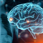 Immagine fotorealistica concettuale che illustra l'intelligenza artificiale (IA) che analizza immagini mediche polmonari (CXR e CT) per la classificazione della gravità del COVID-19. Si vede un cervello digitale stilizzato o una rete neurale sovrapposta a una scansione polmonare, con nodi luminosi che rappresentano l'elaborazione tramite Vision Transformer e ottimizzatori metaeuristici (GWO, PSO). Illuminazione high-tech, colori blu e arancioni duotone, obiettivo prime 50mm, profondità di campo per enfatizzare l'analisi IA.