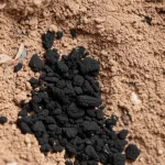 Close-up macro scatto di particelle di biochar scuro miscelato con polvere di argilla bentonite più chiara all'interno di un campione di terreno calcareo brunastro, dettagli elevati, messa a fuoco precisa, illuminazione controllata, lenti macro da 100 mm. L'immagine evidenzia la trama e l'interazione dei materiali di bonifica all'interno della matrice del suolo.