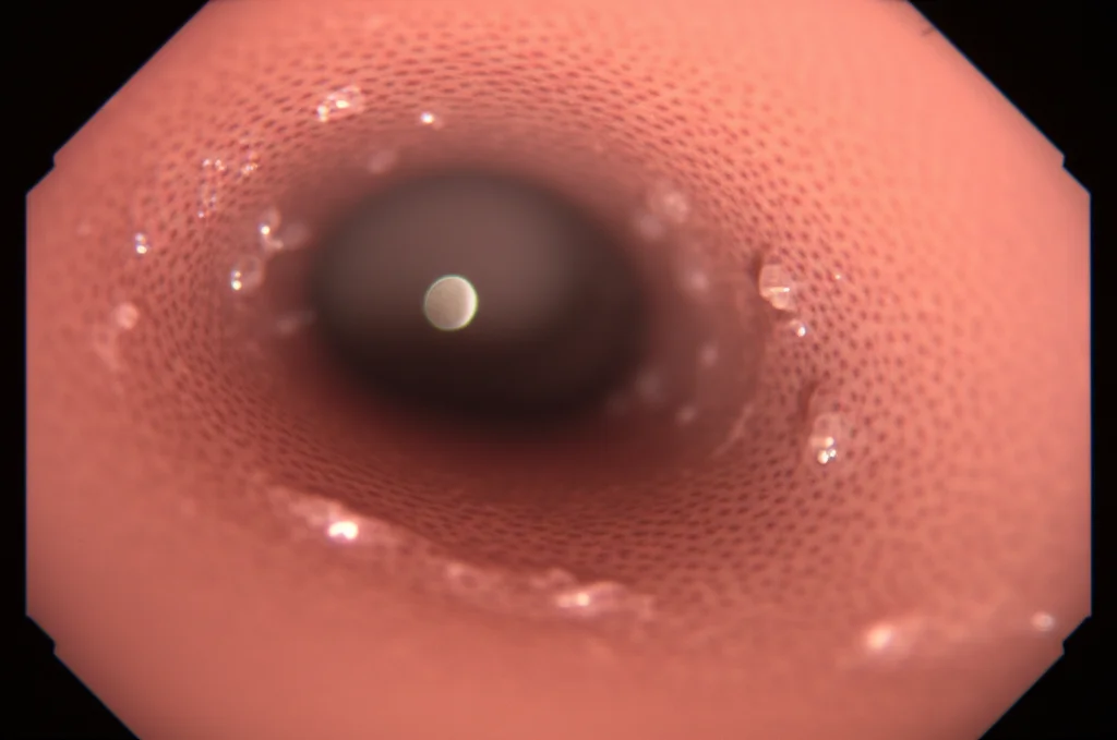 Immagine macro ad alta definizione dell'interno dell'utero visualizzato tramite isteroscopia, messa a fuoco precisa sulle aperture delle ghiandole endometriali, illuminazione controllata per evidenziare la texture della superficie, obiettivo macro 100mm, alta risoluzione 1920x1080.