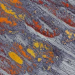 Immagine fotorealistica di una lega metallica Fe-Cr multicomponente con microstruttura visibile, illuminazione controllata per evidenziare dettagli, obiettivo macro 100mm, alta definizione, che simboleggia la scienza dei materiali avanzata e l'uso del machine learning per la sua analisi.