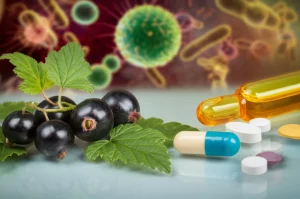 Composizione still life scientifica e botanica: foglie fresche e vivide di ribes nero, fico e vite elegantemente disposte accanto a capsule di antibiotici sparse e una fiala contenente un estratto liquido dorato. Sullo sfondo sfocato, una rappresentazione stilizzata di batteri e cellule tumorali. Illuminazione da studio controllata che enfatizza le texture, obiettivo macro 85mm, alta definizione, profondità di campo ridotta per isolare il soggetto.