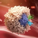 Visualizzazione 3D di alta qualità del recettore FcRn sulla superficie di una cellula che lega un anticorpo IgG (Batoclimab), su uno sfondo astratto che rappresenta il flusso sanguigno con particelle di colesterolo LDL, illuminazione drammatica, dettagli molecolari precisi, lente macro 100mm.