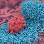 Visualizzazione artistica e scientifica del microRNA cluster miR-23/27/24 che interagisce con il DNA e proteine bersaglio come GSK3β all'interno del nucleo di una cellula di cancro al seno, stile fotorealistico con dettagli molecolari accentuati, obiettivo prime 35mm, profondità di campo ridotta per focalizzare sull'interazione.
