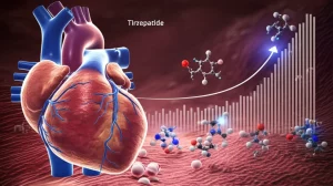 Immagine fotorealistica di un cuore umano stilizzato che mostra un grafico sovrapposto di aumento della forza di contrazione, con molecole di Tirzepatide che interagiscono con i recettori sulla superficie delle cellule cardiache, illuminazione drammatica, obiettivo macro 60mm per dettaglio, alta definizione.
